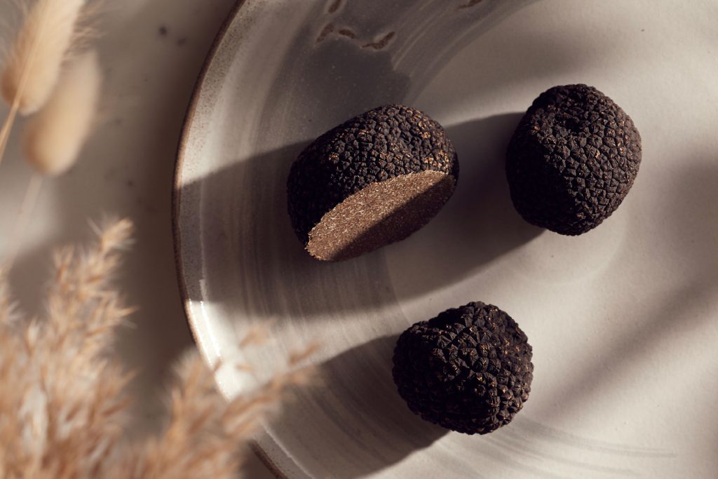 Il tartufo nero estivo (tuber aestivum)